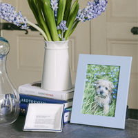 Luxury Frames by Noble Macmillan showcased with a blue picture frame, flowers, and books on a table.