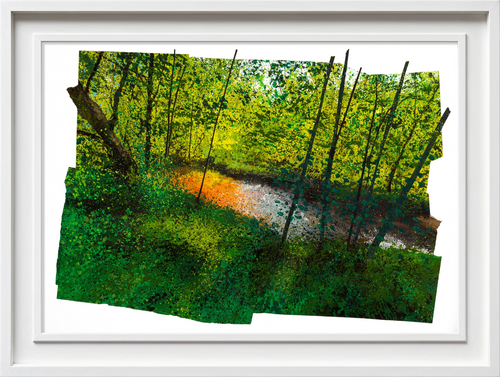 Woodland Shimmer