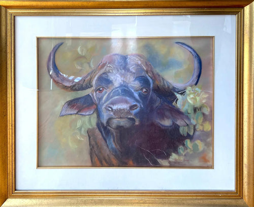 Buffalo