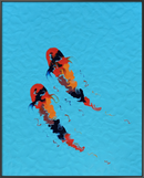 Synchronised Swimmers