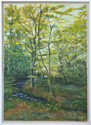 Knighton Woods Walk