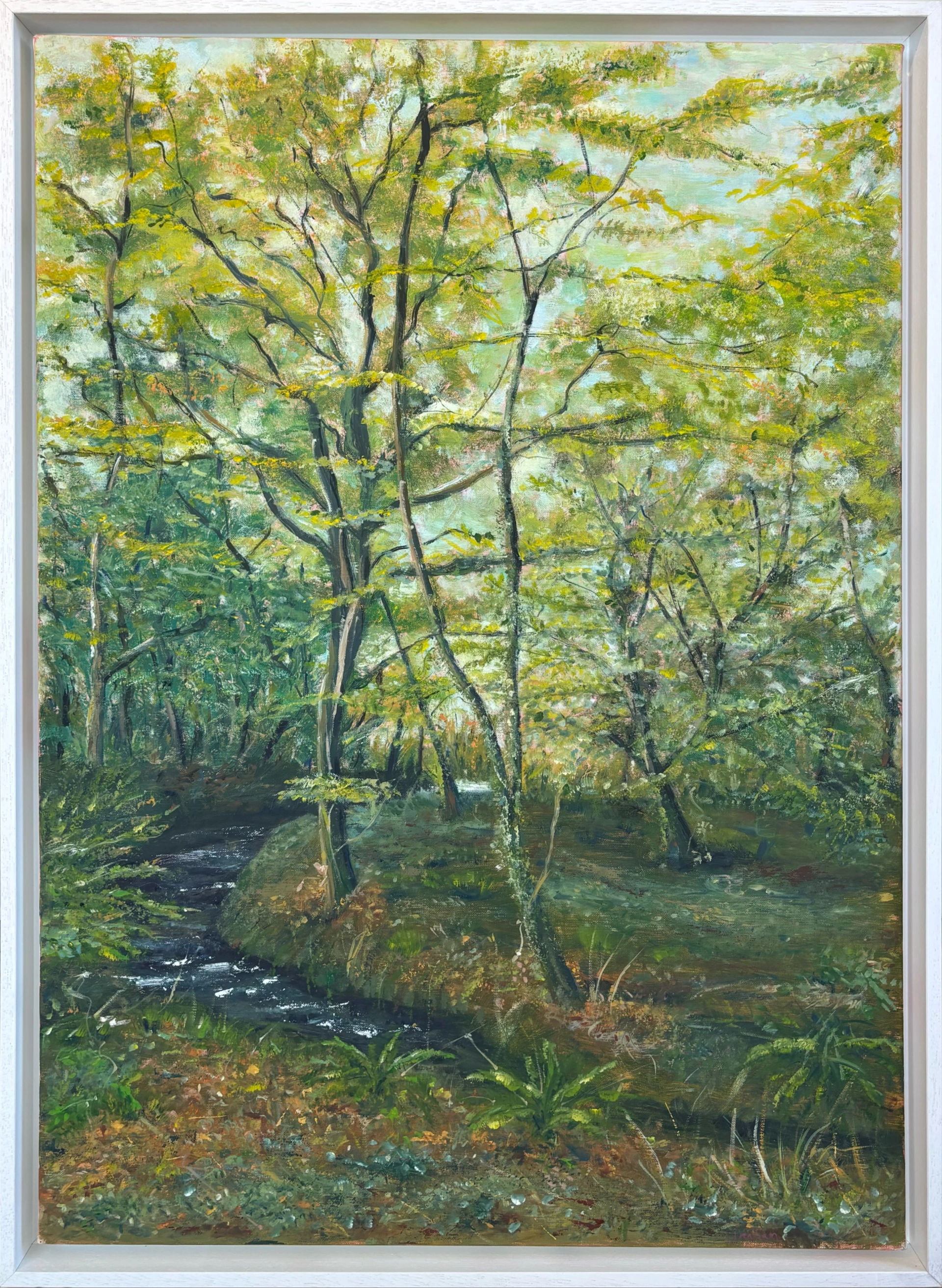 Knighton Woods Walk