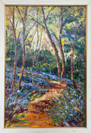 Bluebell Forest