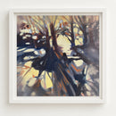 Stillness in the Trees