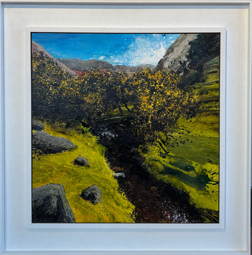 Spring Gorse