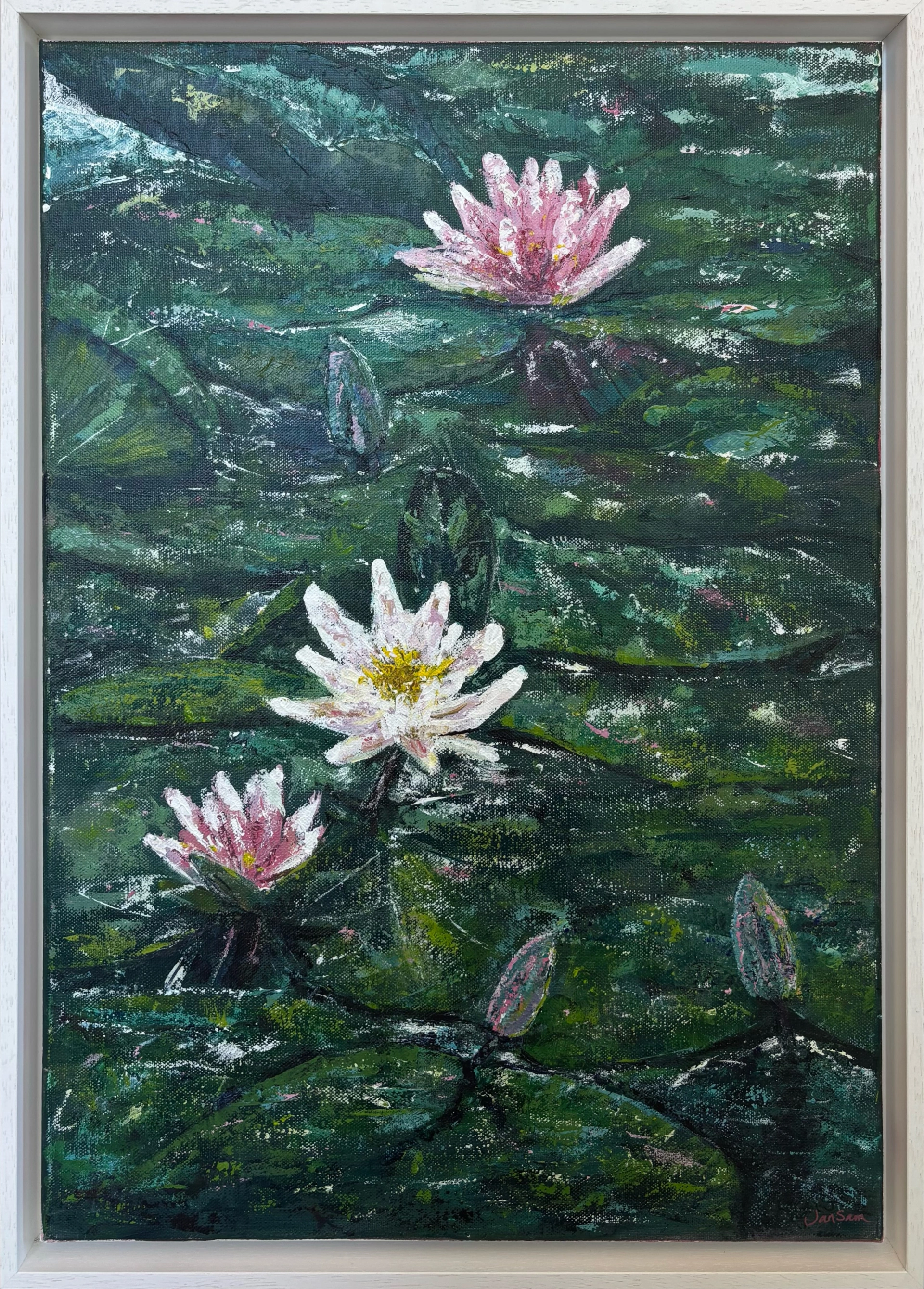 Water Lilies