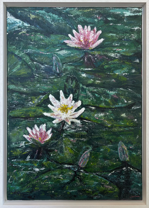 Water Lilies