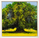 Waverly Yew II