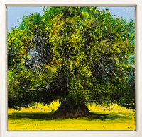 Waverly Yew II