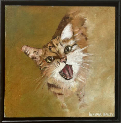 Mid-Meow