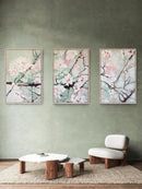 Almond Blossom II