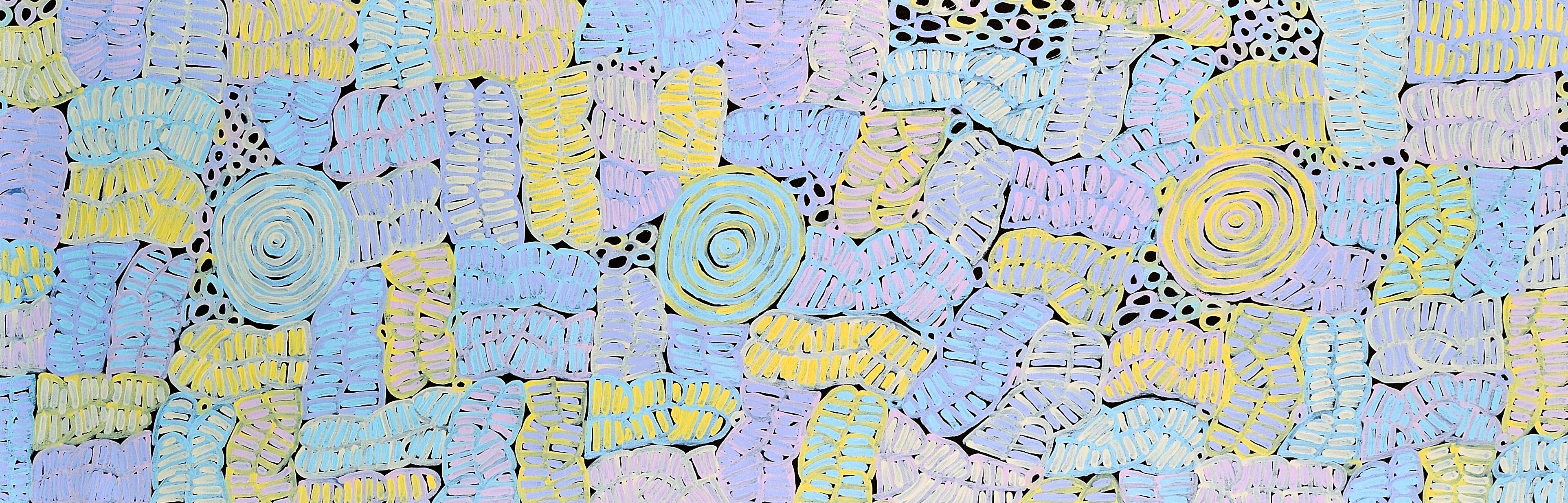 Awelye and Bush Melon