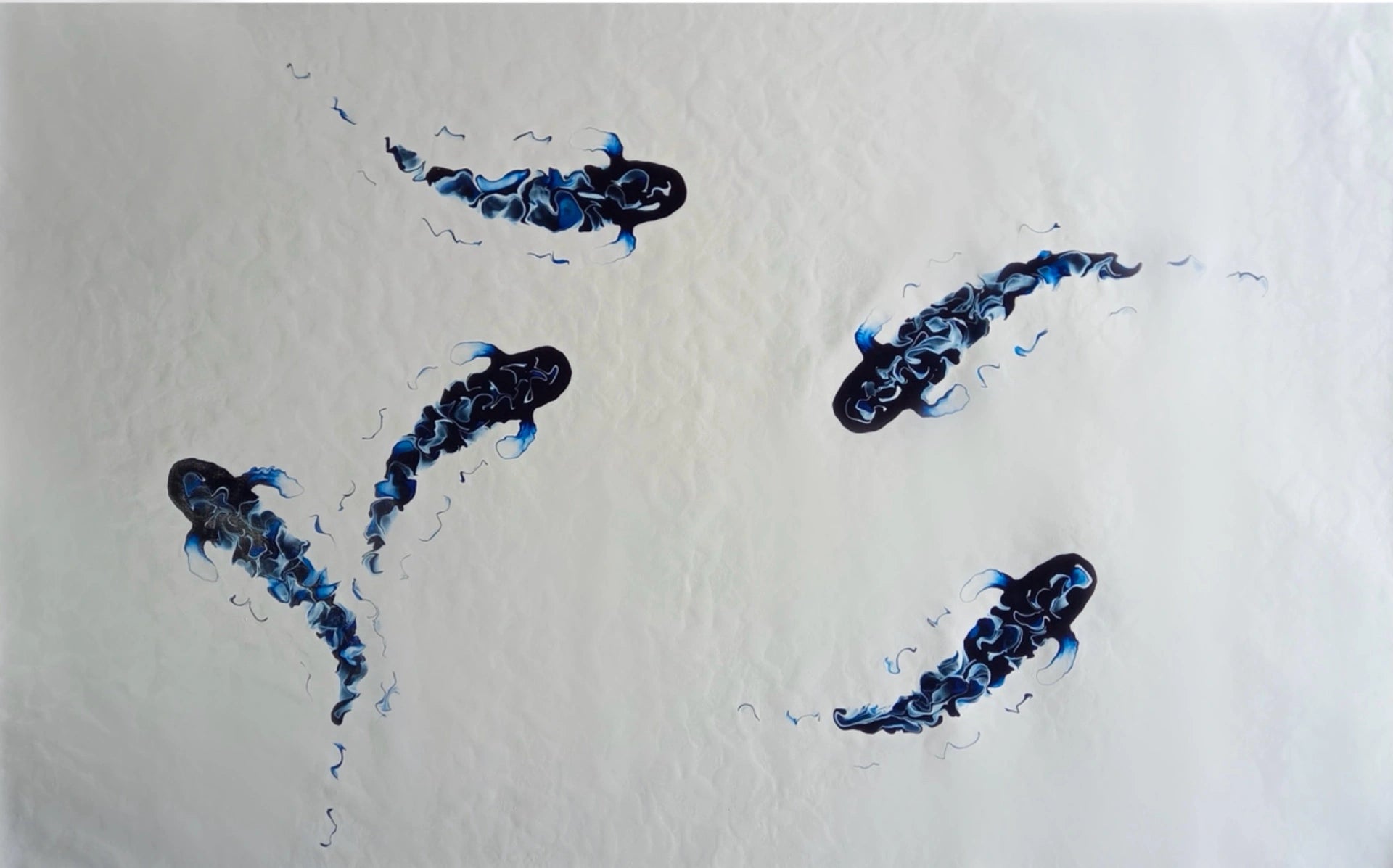 Water off a Fish’s Back