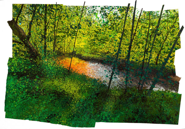 Rob Murray Solo Exhibition
