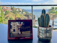 Luxury Walnut Photo Frame