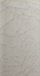 Sandhill (Tali) - Rain in my Grandfather's Country near Mt Leibig