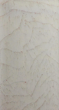 Sandhill (Tali) - Rain in my Grandfather's Country near Mt Leibig