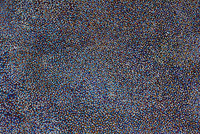 Arnwekety Bush Plum Dreaming II