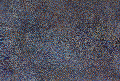 Arnwekety Bush Plum Dreaming II