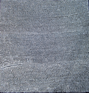 Hail Dreaming at Illipili