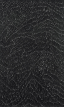 Sandhills (Tali) - Wind and rain soaked country near Mt Liebig