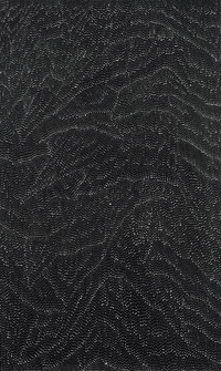 Sandhills (Tali) - Wind and rain soaked country near Mt Liebig