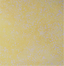 Bush Flowers (Yellow)