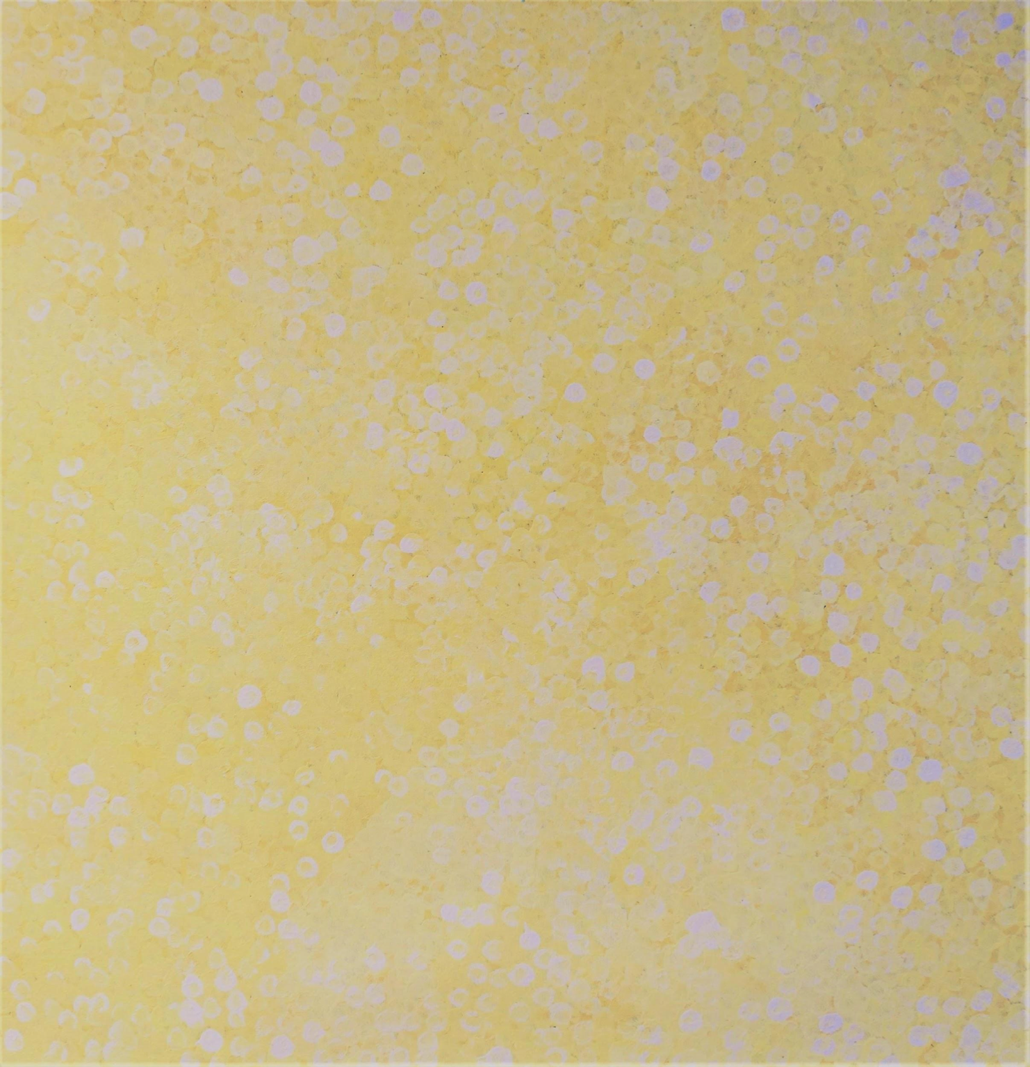 Bush Flowers (Yellow)