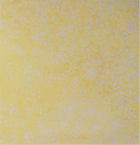 Bush Flowers (Yellow)