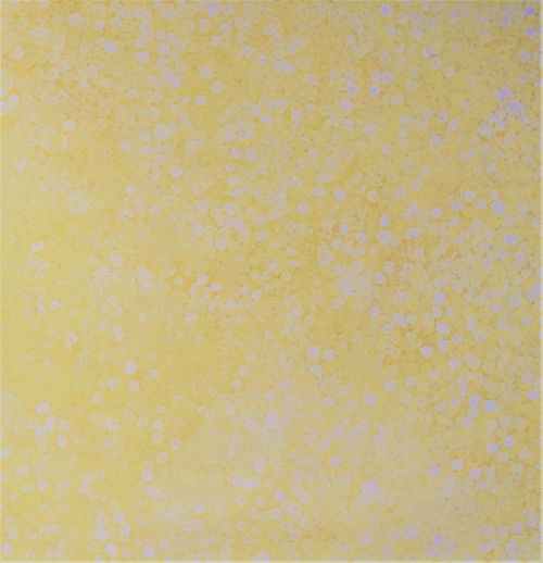 Bush Flowers (Yellow)
