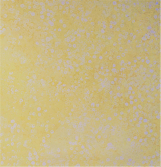 Bush Flowers (Yellow)