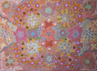 Bush Honey Grevillea