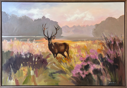 Stag in Headlights