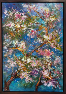 Cherry Blossom