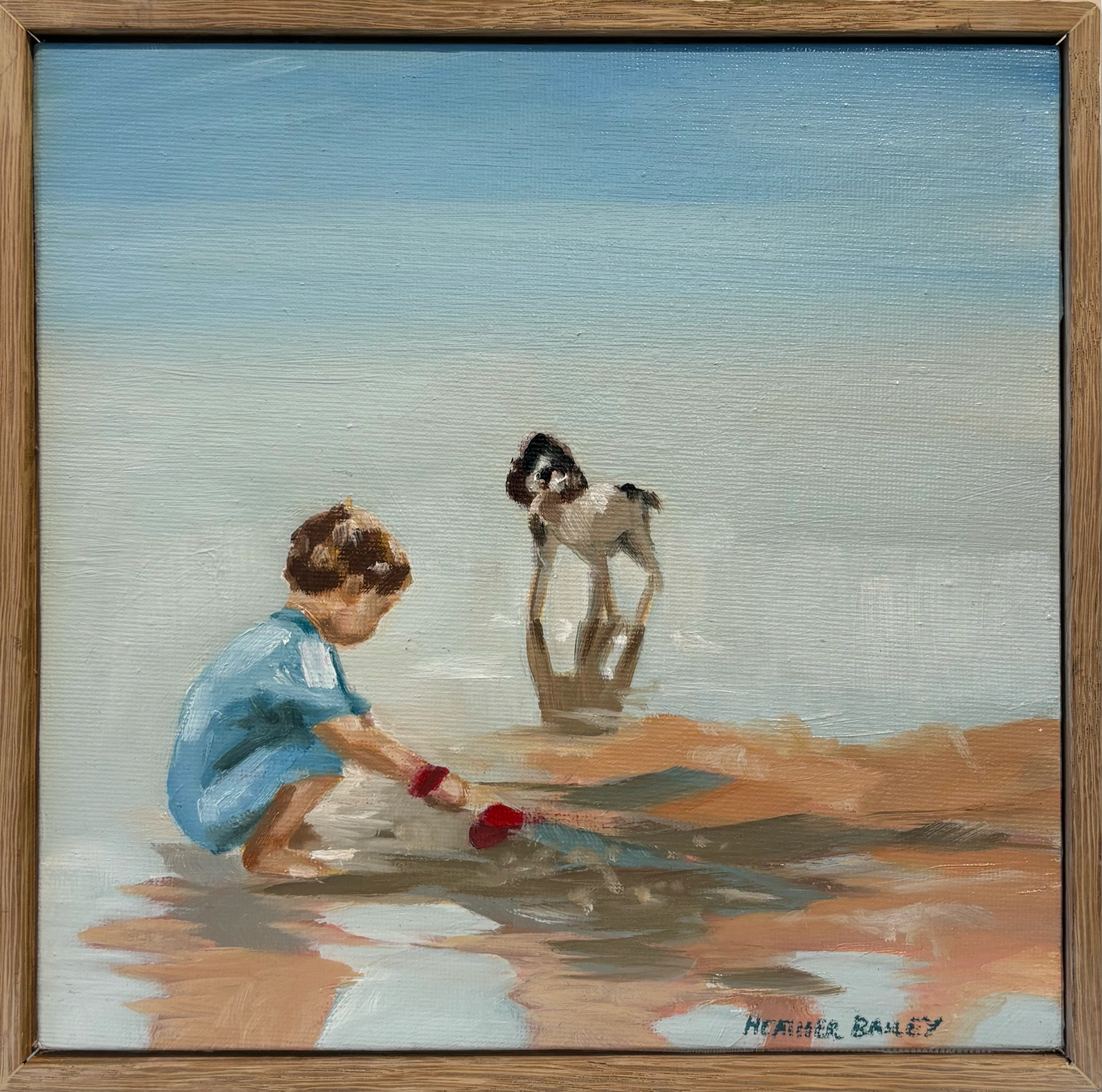 The Shoreline Explorers